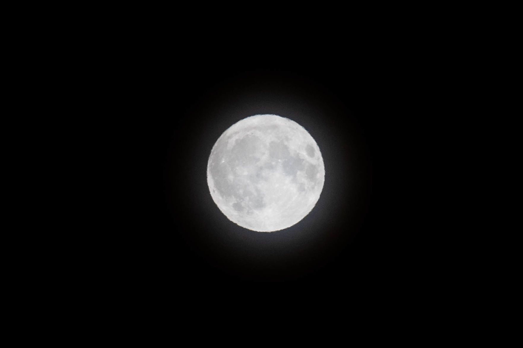 0915_wdj_harvestmoon_SS1.JPG